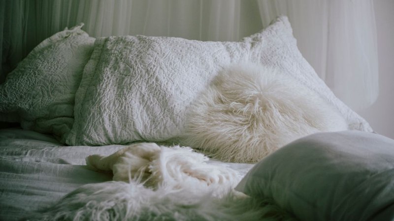 Linen Lumbar Throw Pillow